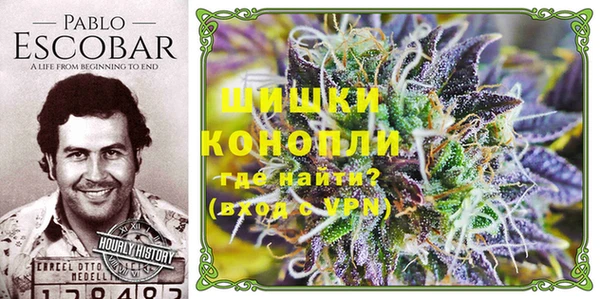 мяу мяу мука Сосновка