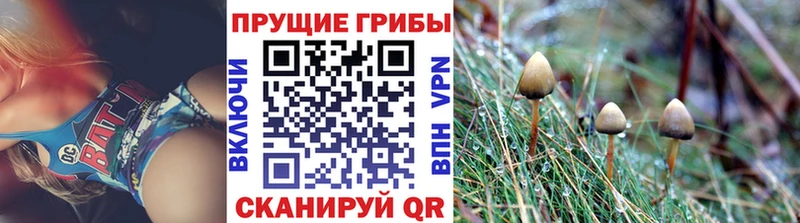 Галлюциногенные грибы мицелий  купить наркотики цена  Рыльск 